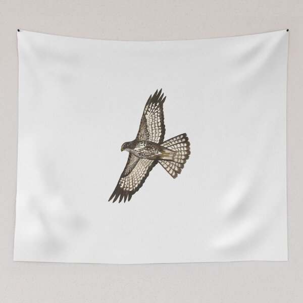 Item preview, Common buzzard designed and sold by izabelladasilva.
