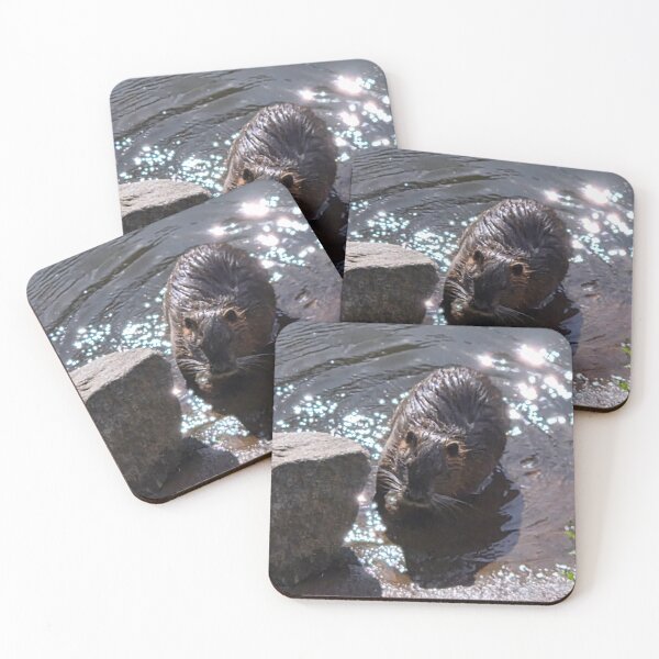 Item preview, Beaver bathtime designed and sold by Halda-photos.