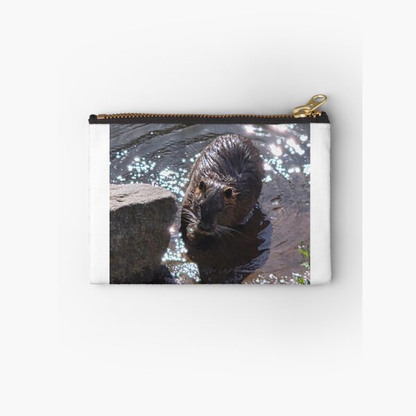 Item preview, Beaver bathtime designed and sold by Halda-photos.