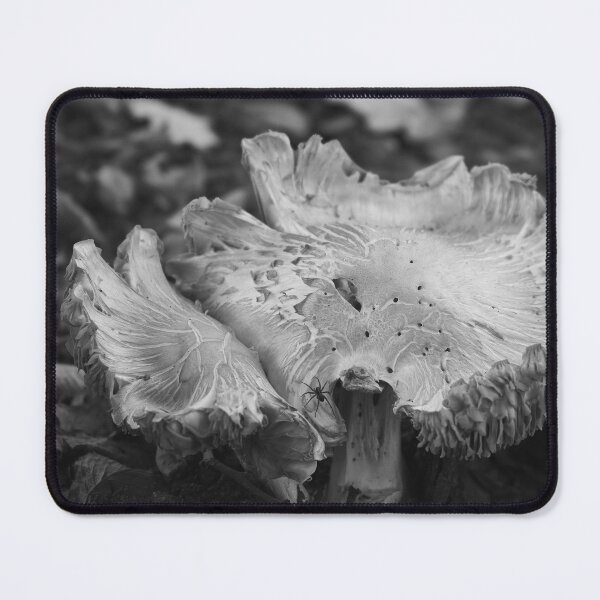Item preview, Itsy Bitsy on a Shroom designed and sold by Graphigrammic.