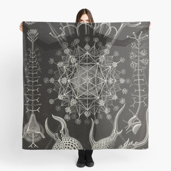 Phaeodaria (Amoeboid cercozoa) - Ernst Haeckel Scarf