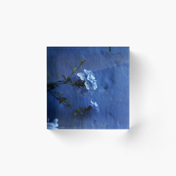 Artikelvorschau, Blaue Blume auf blauem Hintergrund entworfen und verkauft von msro1.