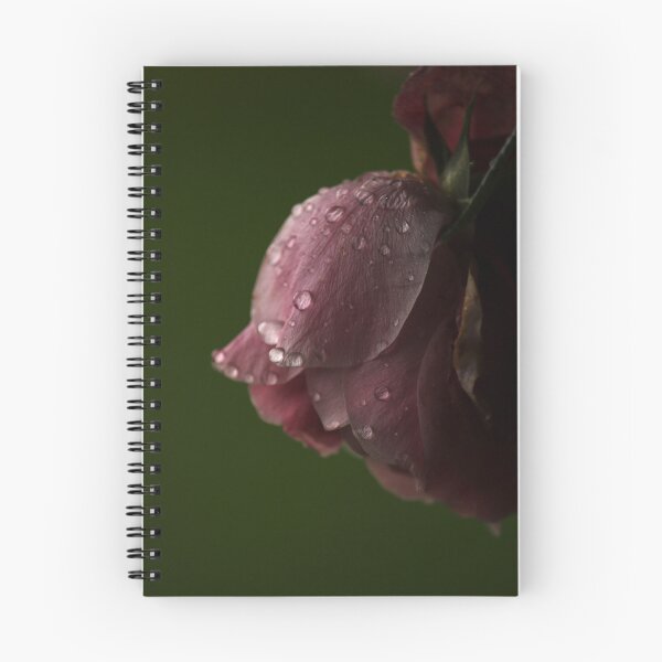 Item preview, Roses with water droplets designed and sold by msro1.