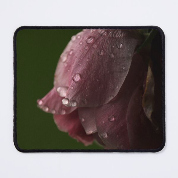 Item preview, Roses with water droplets designed and sold by msro1.