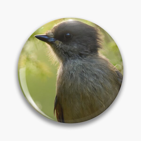 Item preview, Backlight. Siberian jay designed and sold by Jouko Lehto Photography.