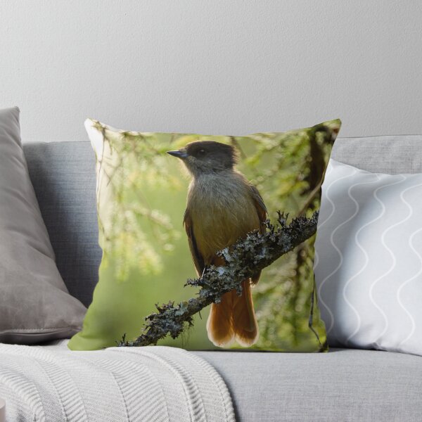 Item preview, Backlight. Siberian jay designed and sold by Jouko Lehto Photography.