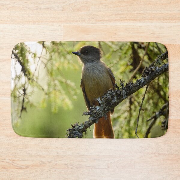 Item preview, Backlight. Siberian jay designed and sold by Jouko Lehto Photography.