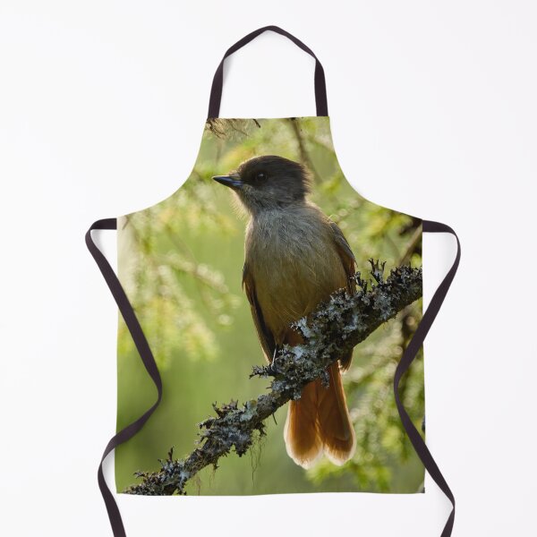 Item preview, Backlight. Siberian jay designed and sold by Jouko Lehto Photography.