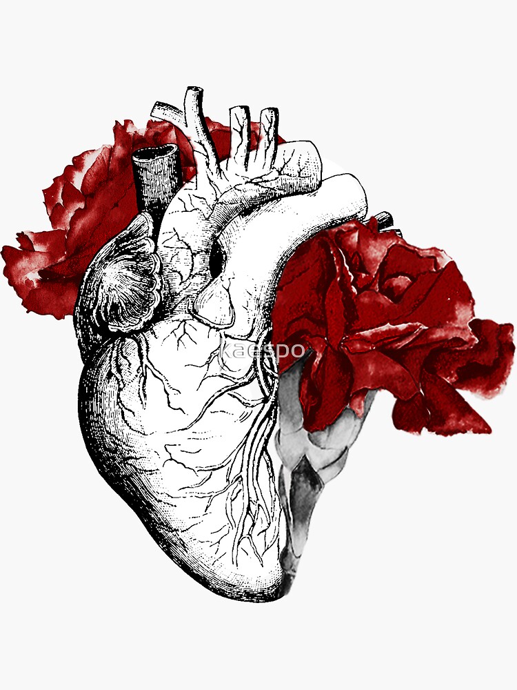 Anatomical Heart With Red Flowers by kaespo