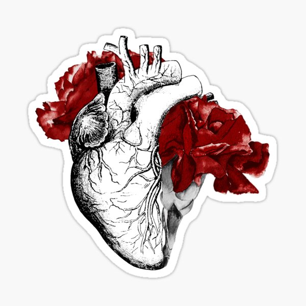 Anatomical Heart With Red Flowers Sticker