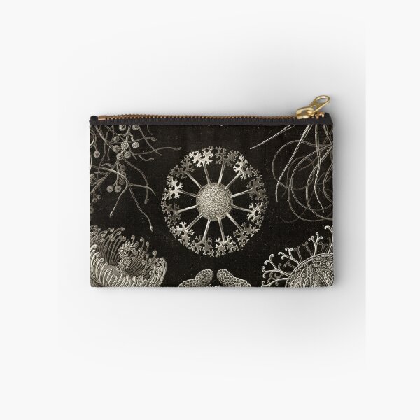 Item preview, Ascomycetes (Ascomycota - Sac Fungi) - Ernst Haeckel designed and sold by science4all.