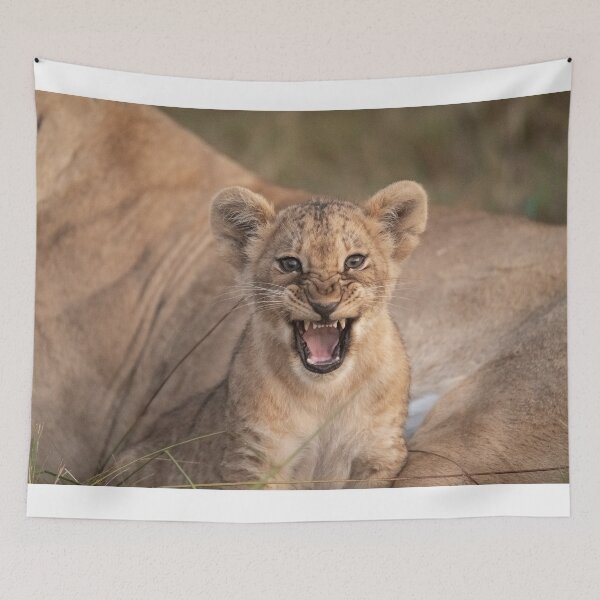 Item preview, Lion Cub Roaring – Small but Mighty - Animal Of Africa designed and sold by DavideAntoniani.