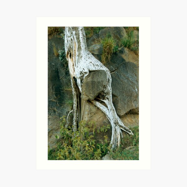 Holding on ~ Courage 3 Art Print