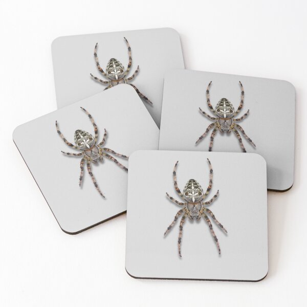 Item preview, Spooky Spider Halloween Sticker – Transparent Background designed and sold by ArtiQreate.