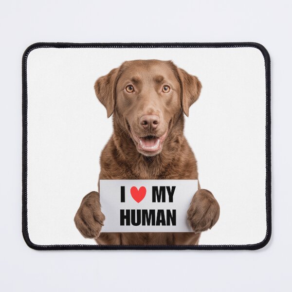 Item preview, Cute Chesapeake Bay Retriever dog with Signboard I love my Human designed and sold by LazyOwlStore.