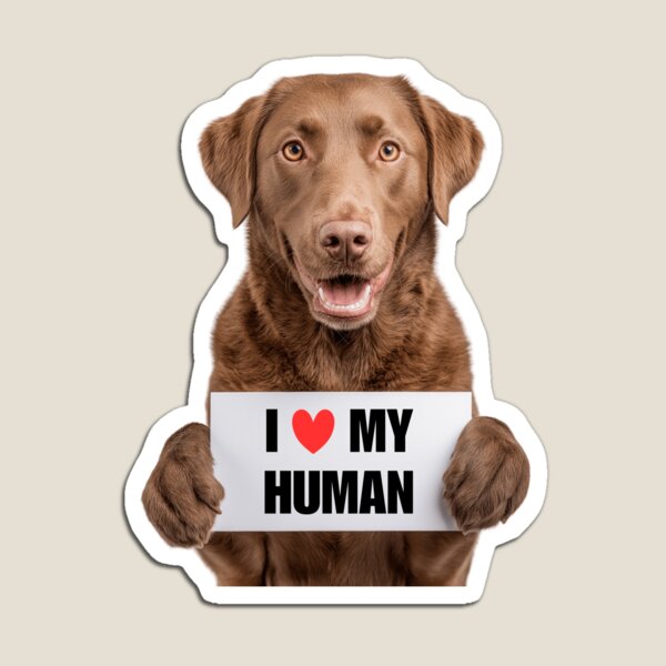 Item preview, Cute Chesapeake Bay Retriever dog with Signboard I love my Human  designed and sold by LazyOwlStore.