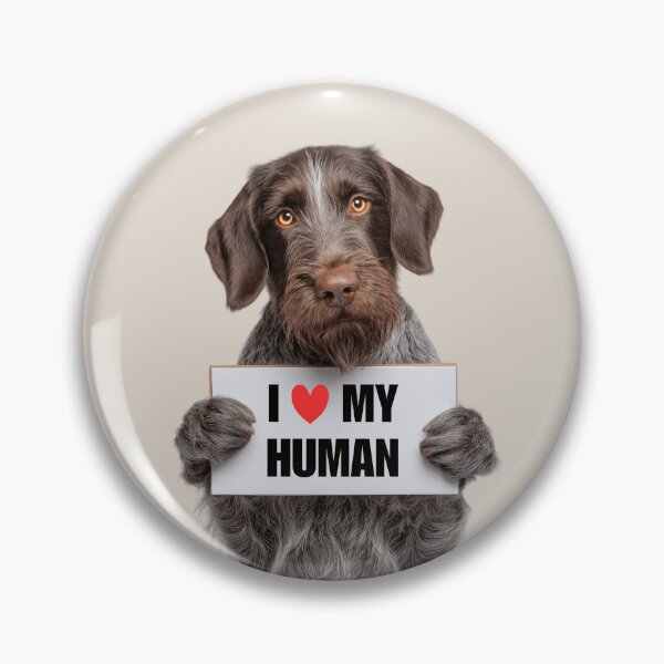 Item preview, Cute German Wirehaired Pointer dog with Signboard I love my Human  designed and sold by LazyOwlStore.