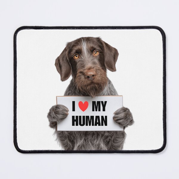 Item preview, Cute German Wirehaired Pointer dog with Signboard I love my Human  designed and sold by LazyOwlStore.
