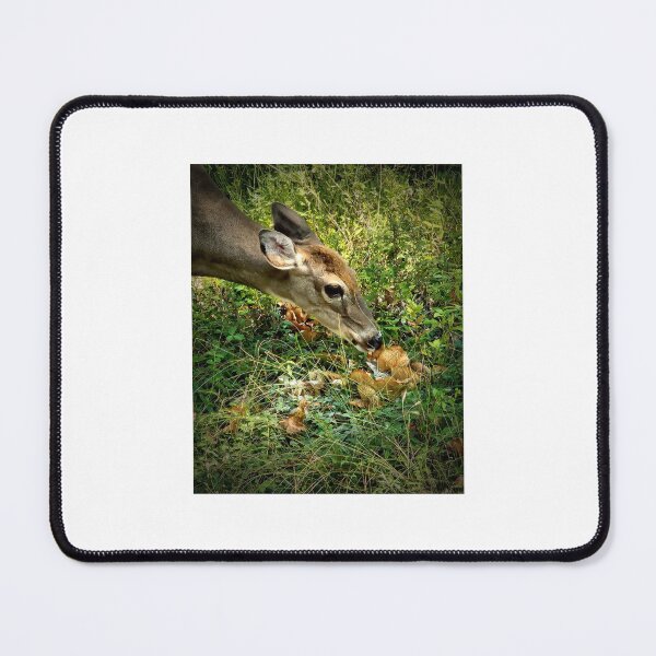 Item preview, Magical Mushroom Munchies designed and sold by DeerestPhotos.