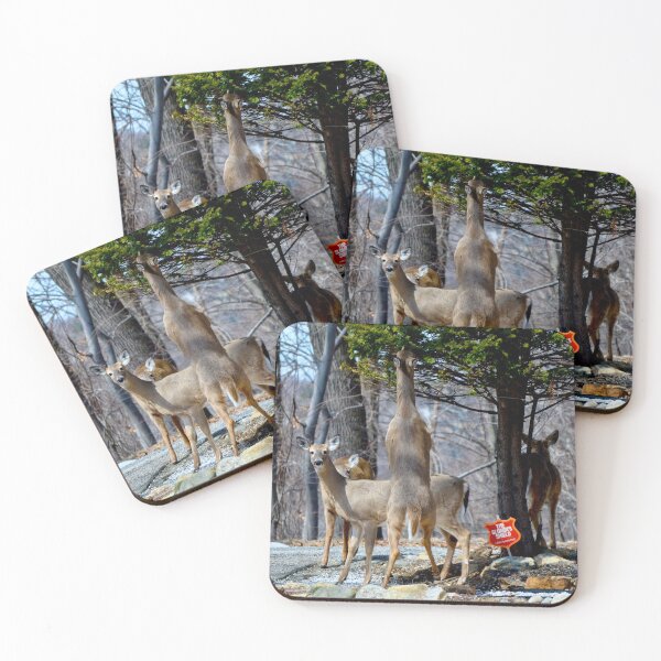 Item preview, Alarm System Armed...or is it? designed and sold by DeerestPhotos.