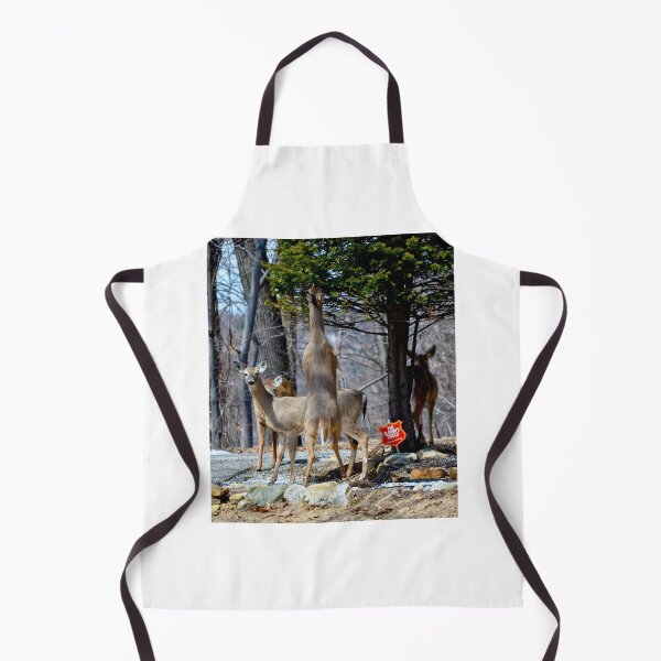 Item preview, Alarm System Armed...or is it? designed and sold by DeerestPhotos.