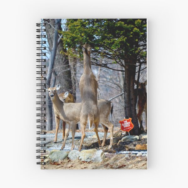 Item preview, Alarm System Armed...or is it? designed and sold by DeerestPhotos.