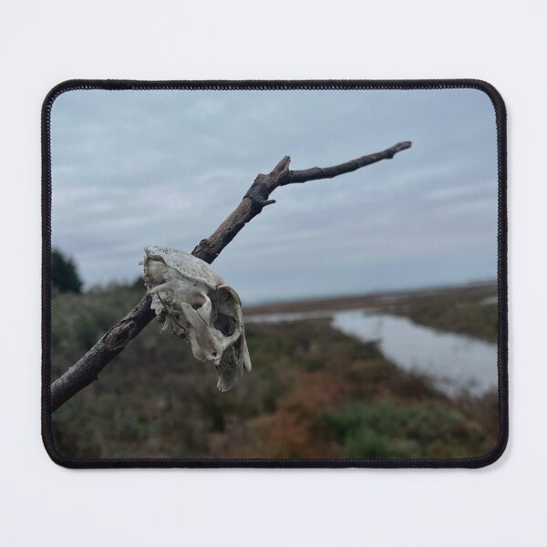 Item preview, Rabbit Skull designed and sold by SpiderStar.