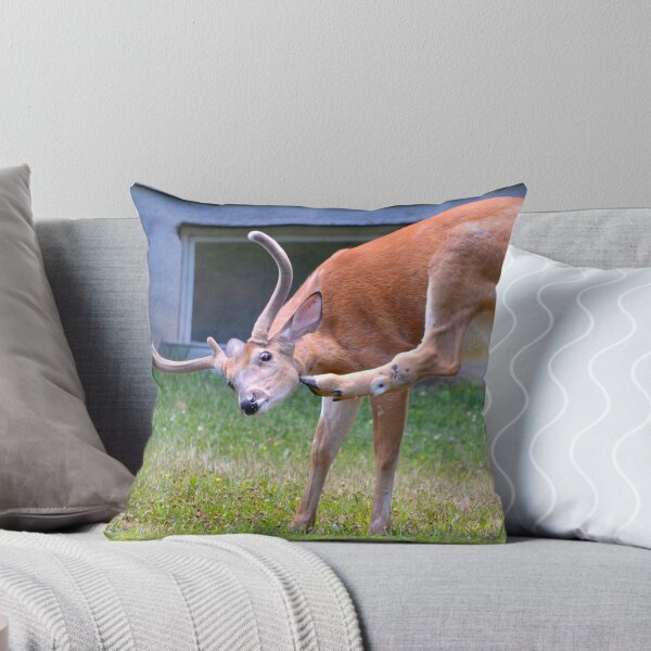 Item preview, Nothing Like a Good Scratch designed and sold by DeerestPhotos.
