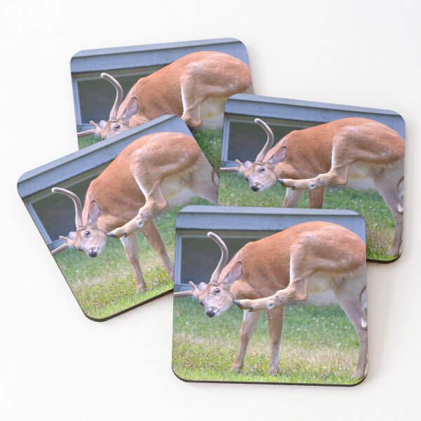 Item preview, Nothing Like a Good Scratch designed and sold by DeerestPhotos.