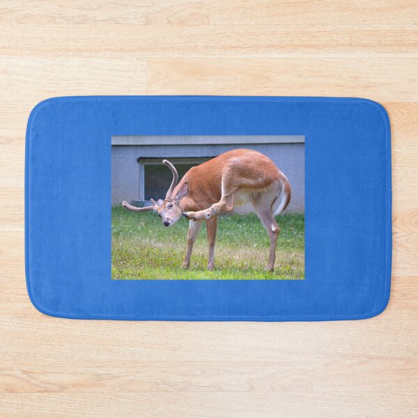 Item preview, Nothing Like a Good Scratch designed and sold by DeerestPhotos.
