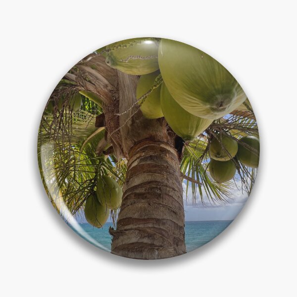 Item preview, Coconuts  designed and sold by DriftandBloom.