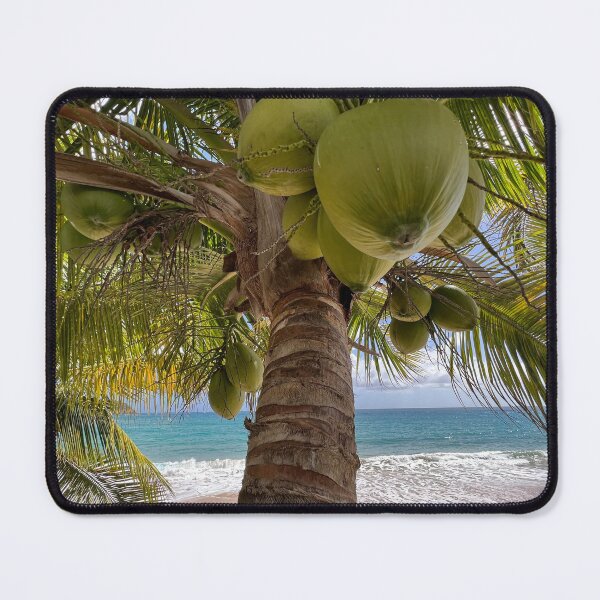 Item preview, Coconuts designed and sold by DriftandBloom.