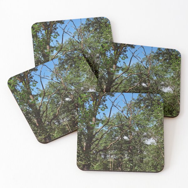 Item preview, Life Affirming Green designed and sold by Eidetic Photos.