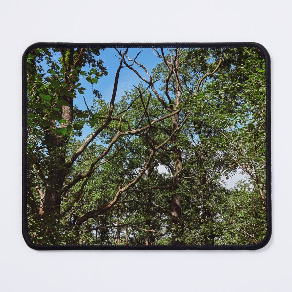 Item preview, Life Affirming Green designed and sold by Eidetic Photos.