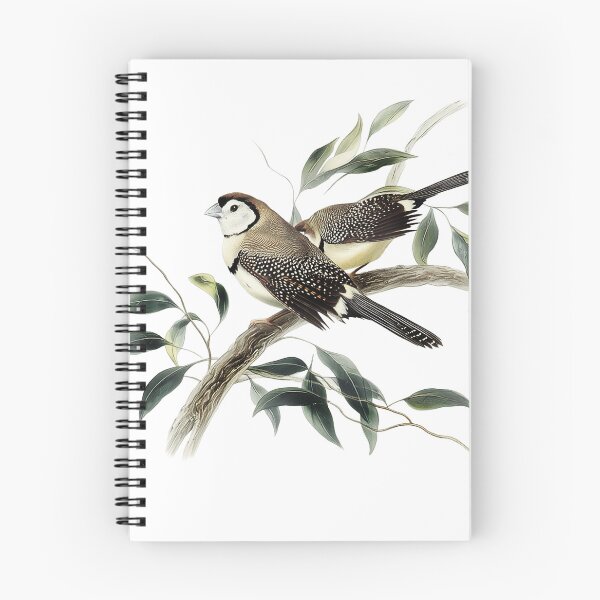 Item preview, Vintage Watercolor Illustration of Owl Finches – Taeniopygia bichenovii Bird Art designed and sold by Alder and Cedarwood.