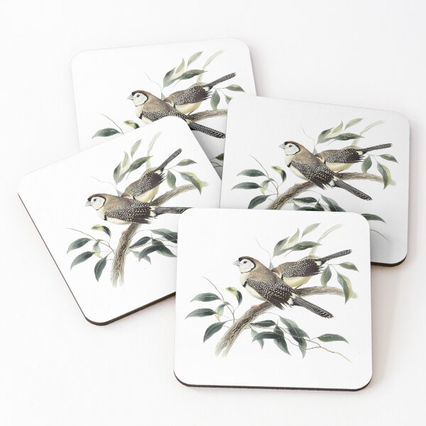 Item preview, Vintage Watercolor Illustration of Owl Finches – Taeniopygia bichenovii Bird Art designed and sold by Alder and Cedarwood.