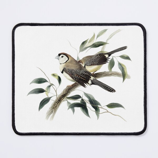 Item preview, Vintage Watercolor Illustration of Owl Finches – Taeniopygia bichenovii Bird Art designed and sold by Alder and Cedarwood.