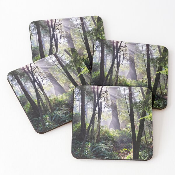 Item preview, Foggy Rainforest in the Morning designed and sold by MilesToHike.