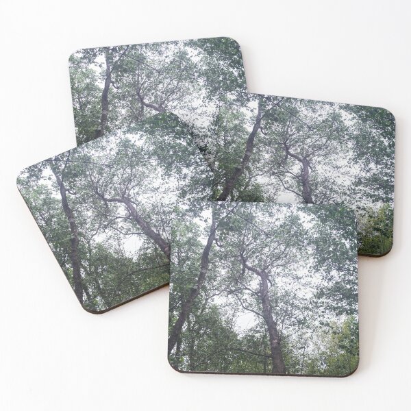 Item preview, Mangrove Trees_02 designed and sold by ROSE ANN BANILAR.