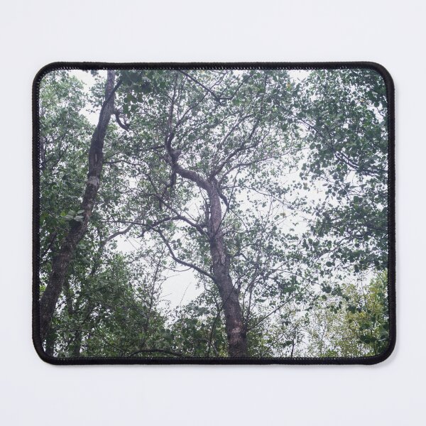 Item preview, Mangrove Trees_02 designed and sold by ROSE ANN BANILAR.