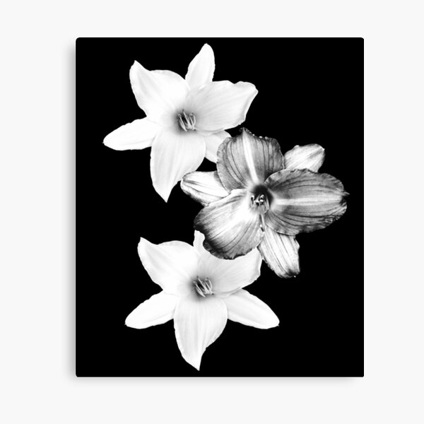 Item preview, White Lilies on Black #1 #floral #decor #art  designed and sold by Anita's & Bella's Art.