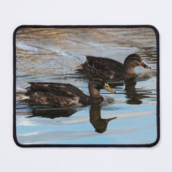 Item preview, A Couple of Ducks designed and sold by heatherfriedman.
