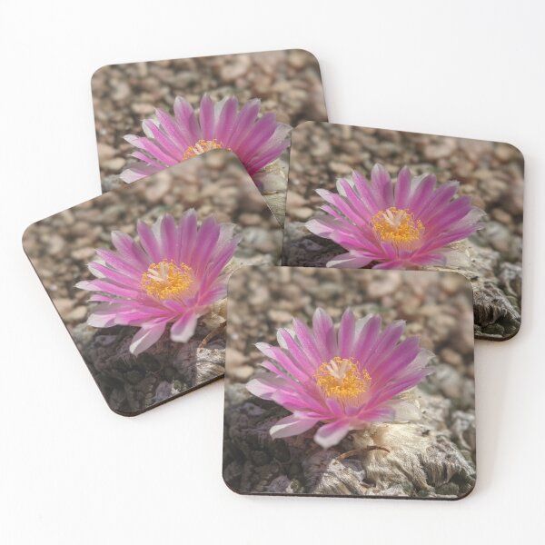 Item preview, Delicate Desert Blossom designed and sold by ThoseFlowerPics.