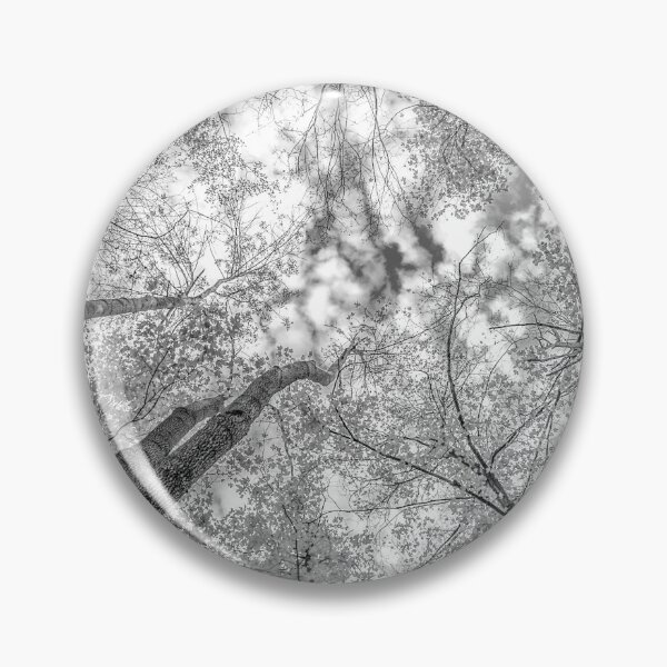 Item preview, Black and White Trees from the forest floor designed and sold by Roxane Bay.