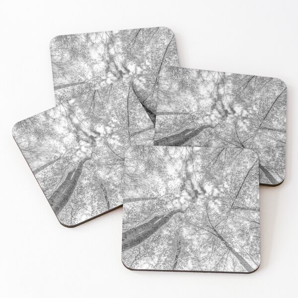 Item preview, Black and White Trees from the forest floor designed and sold by Roxane Bay.