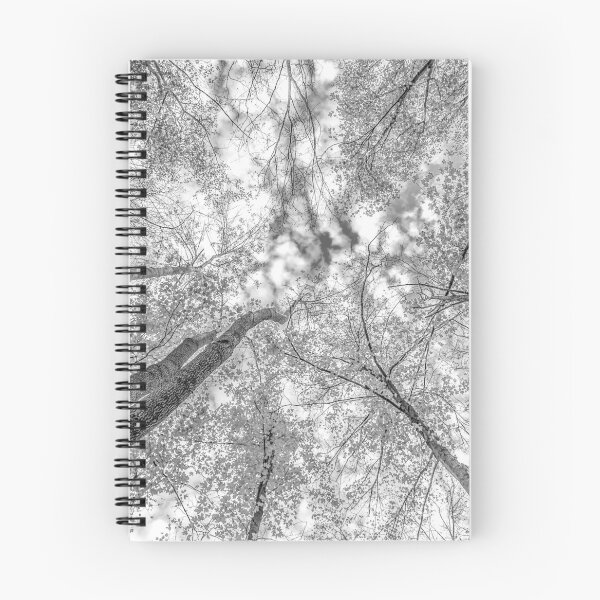 Item preview, Black and White Trees from the forest floor designed and sold by Roxane Bay.