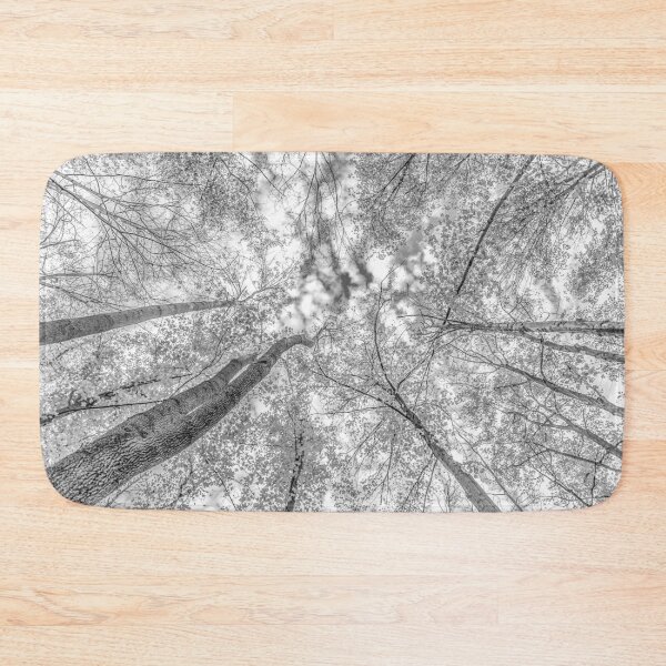 Item preview, Black and White Trees from the forest floor designed and sold by Roxane Bay.