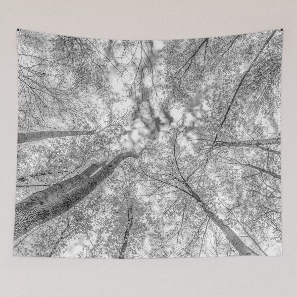 Item preview, Black and White Trees from the forest floor designed and sold by Roxane Bay.