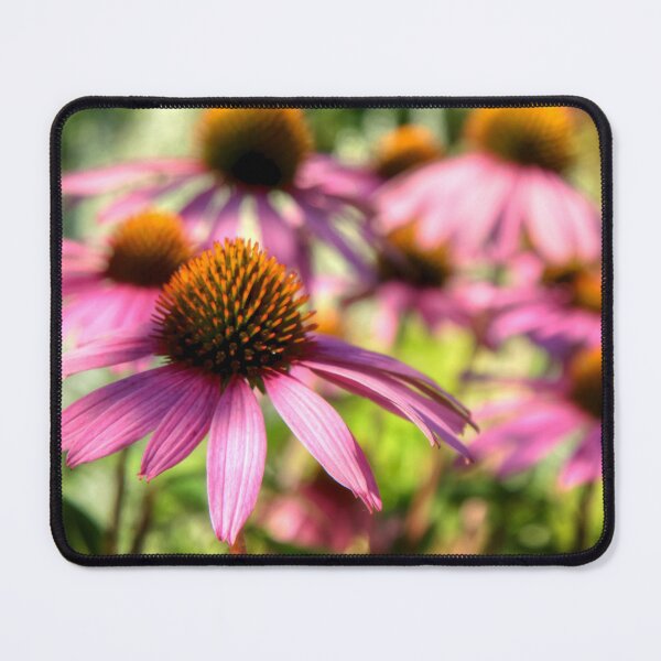 Item preview, Echinacea designed and sold by Roxane Bay.