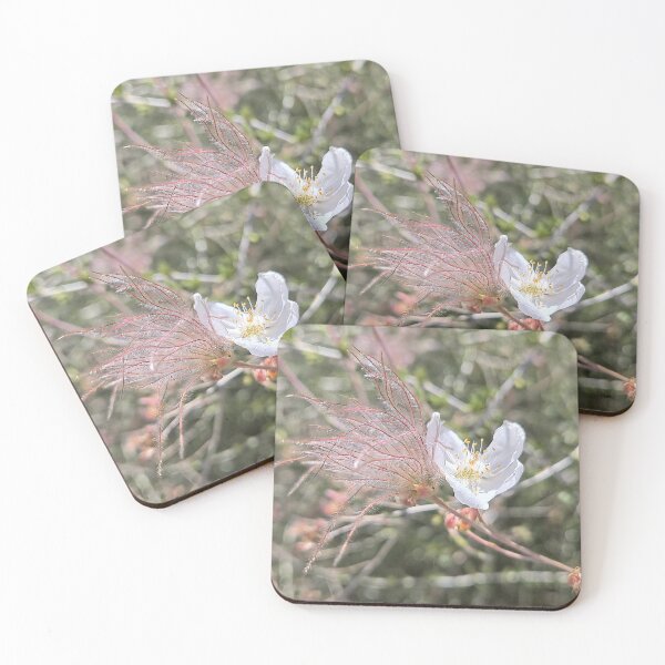 Item preview, Apache Plume designed and sold by Betsy Phillips.